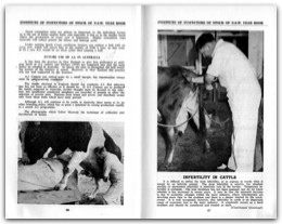 1954 Page 66 67